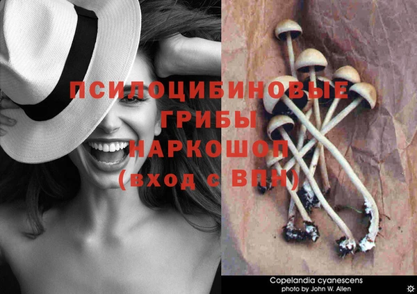 альфа пвп VHQ Баксан