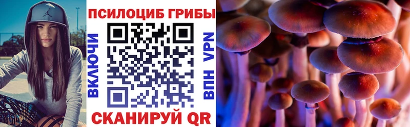 как найти закладки  Нарьян-Мар  МЕГА ссылка  Галлюциногенные грибы Psilocybine cubensis 